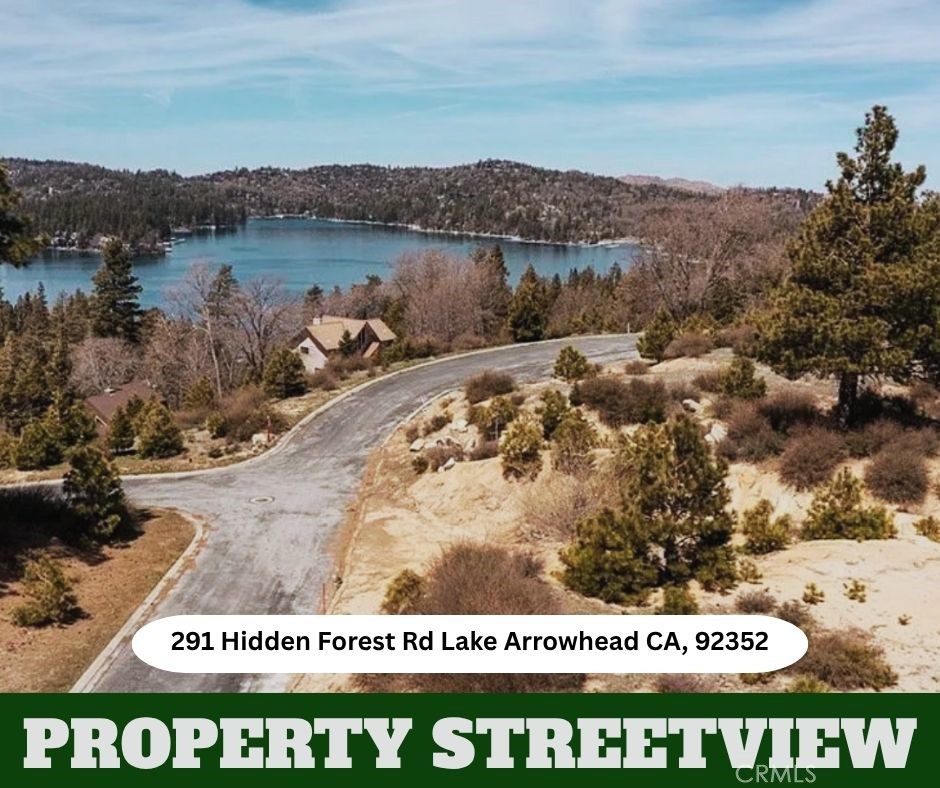 291 Hidden Forest Property Photo 7
