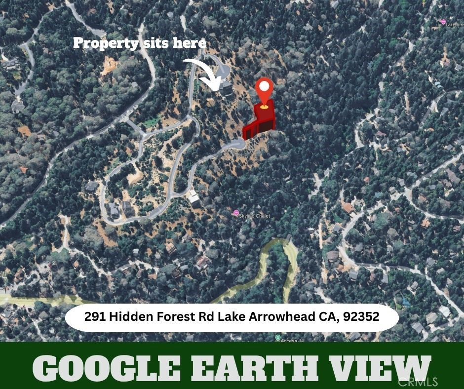 291 Hidden Forest Property Photo 9