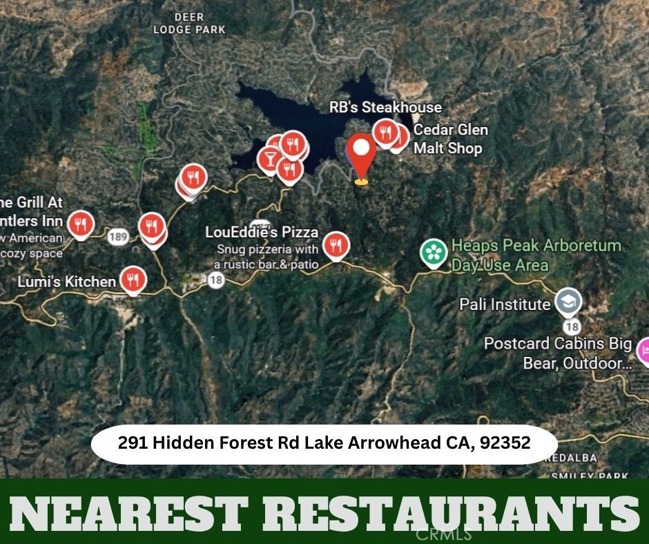 291 Hidden Forest Property Photo 10