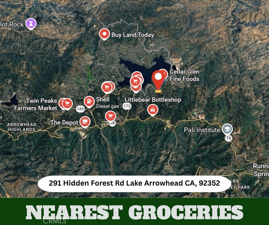 291 Hidden Forest Property Photo 12