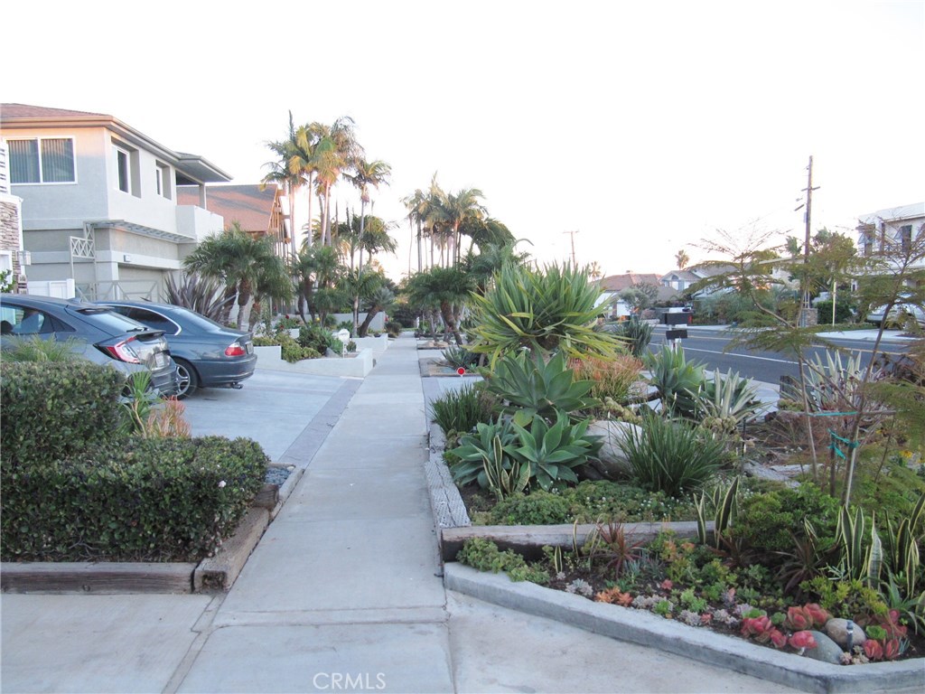 34602 Camino Capistrano Property Photo 32