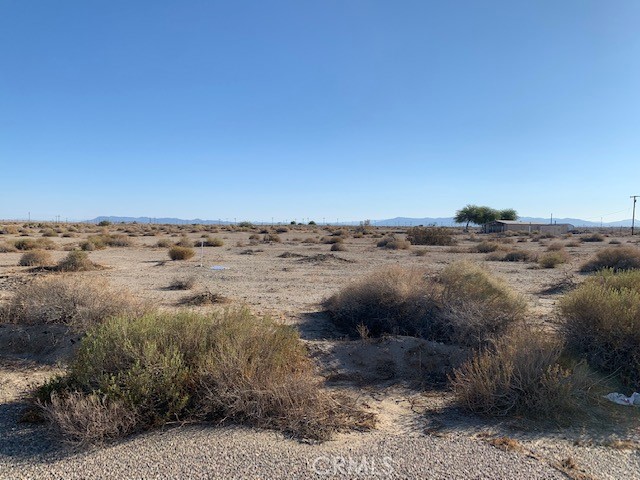 2277 Laguna Avenue Property Photo 6