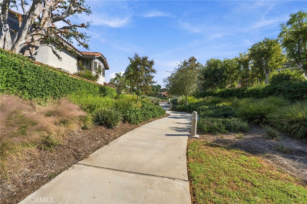 6 Redonda Property Photo 60