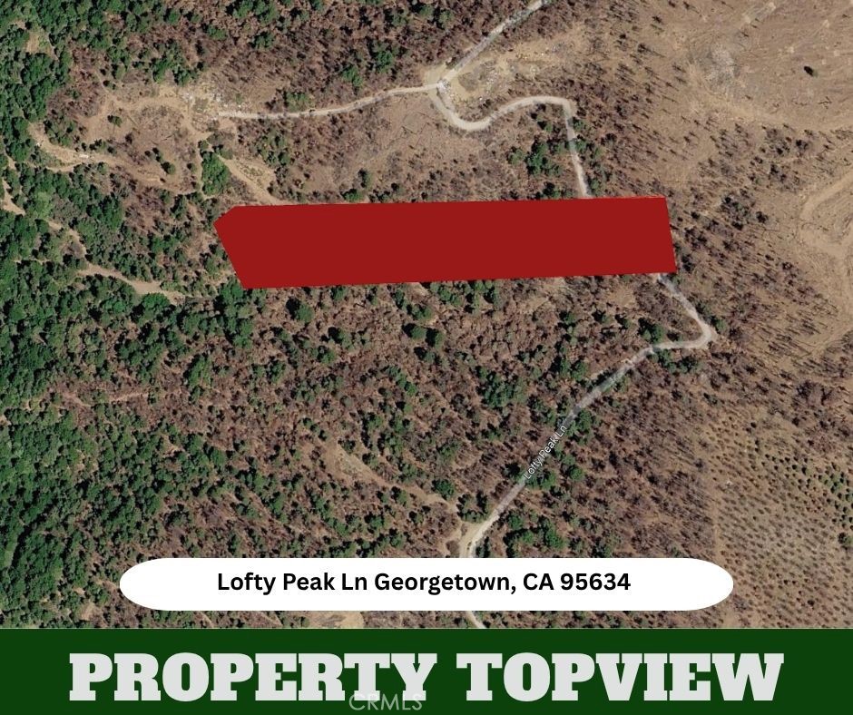 1105 Lofty Peak Property Photo 19
