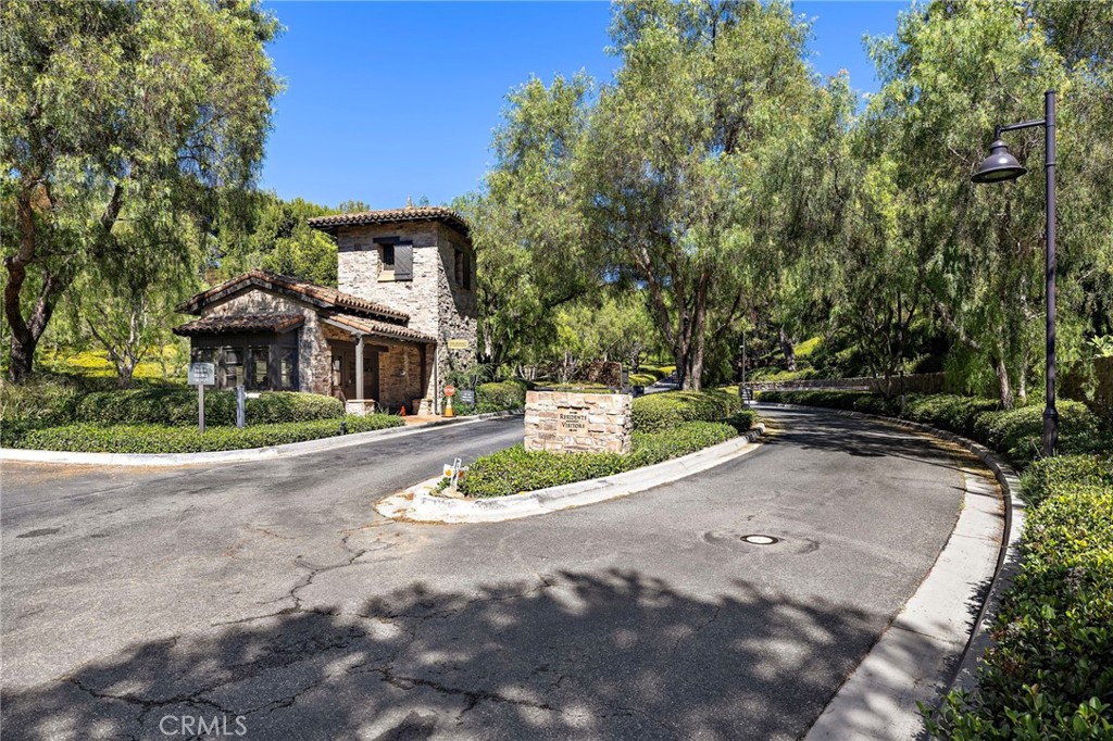 41 Climbing Vine Property Photo 31