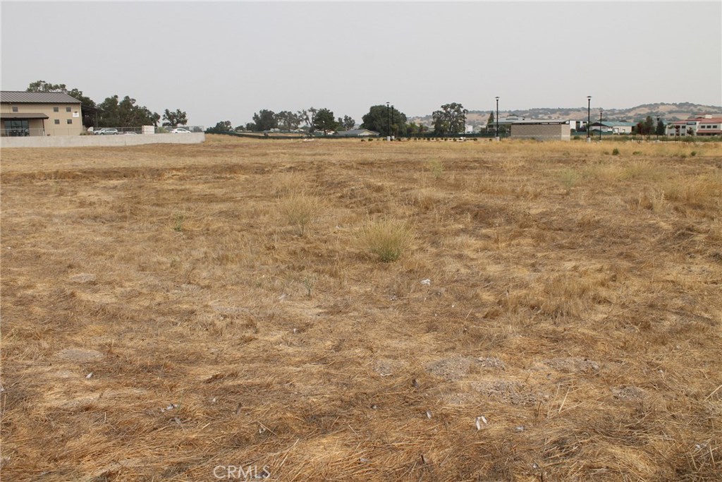 155 Cow Meadow Place Property Photo 4
