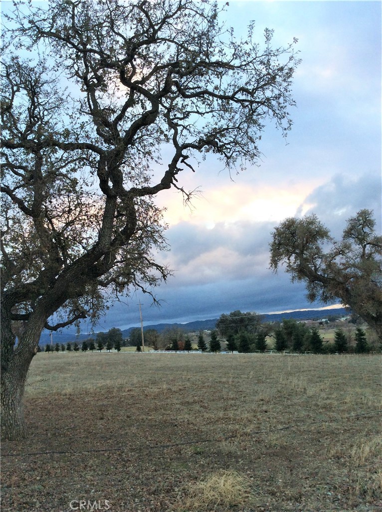 1320 Lot 9 Fire Rock Loop Property Photo 2