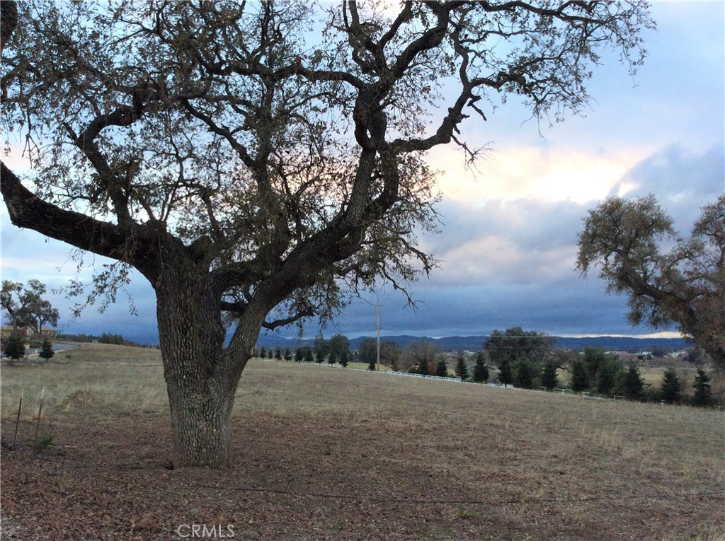 1320 Lot 9 Fire Rock Loop Property Photo 3