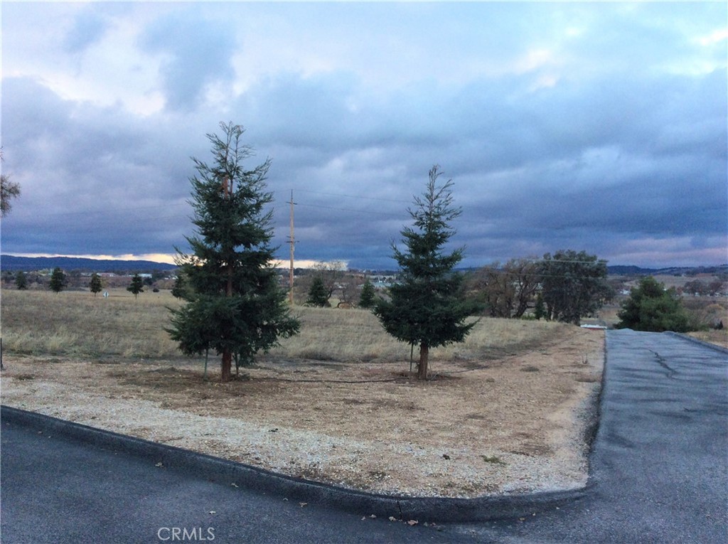 1320 Lot 9 Fire Rock Loop Property Photo 5