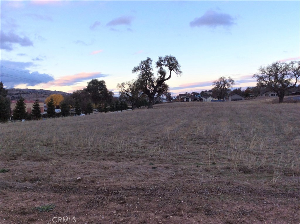 1320 Lot 9 Fire Rock Loop Property Photo 6