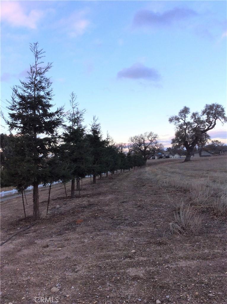 1320 Lot 9 Fire Rock Loop Property Photo 7