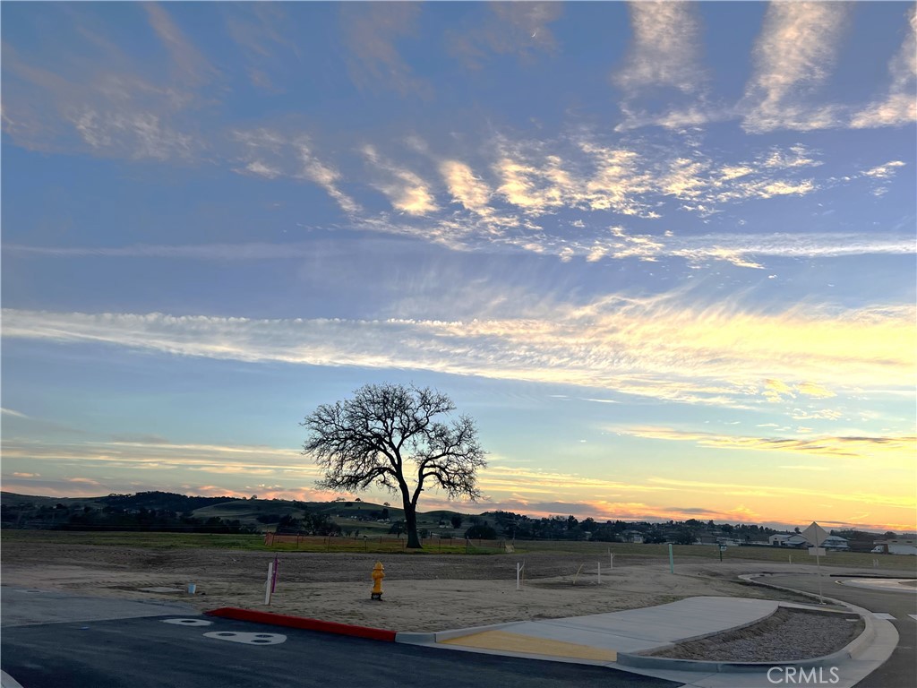 0 Wisteria Lane Property Photo 12