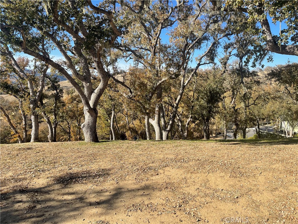 2474 Captains Property Photo 1