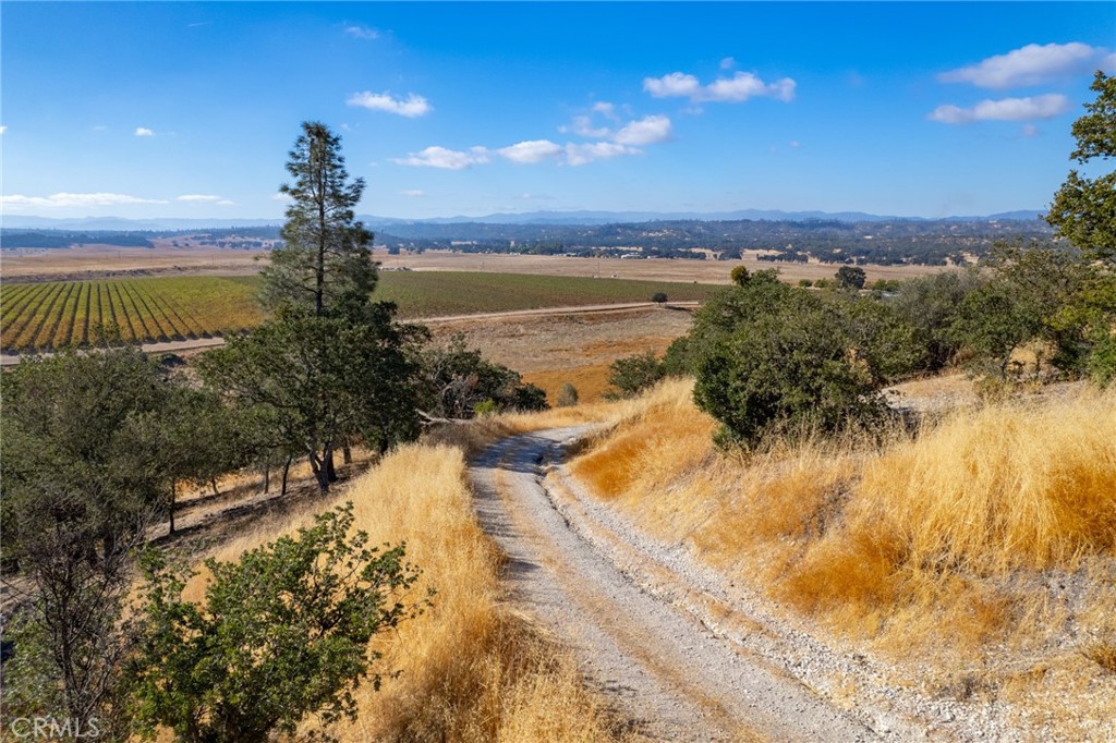 61173 Argyle Road Property Photo 15
