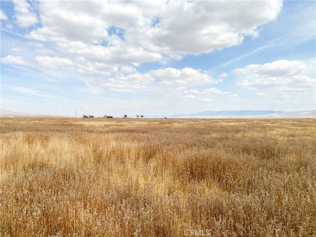 0 Burney Road Property Photo 19