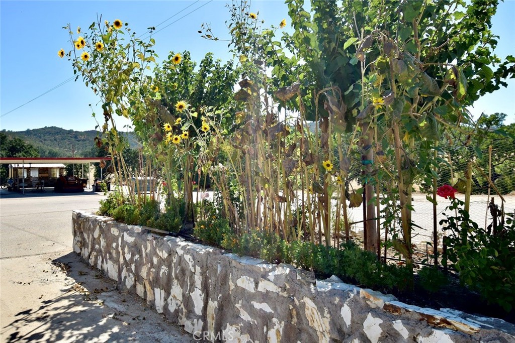 76980 San Antonio Road Property Photo 38