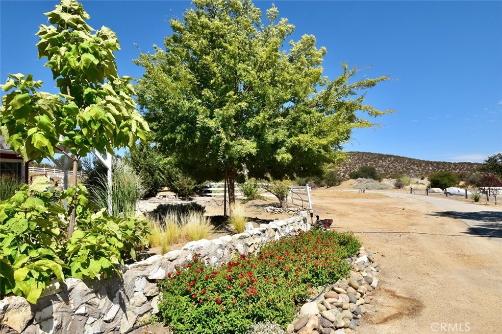 76980 San Antonio Road Property Photo 42