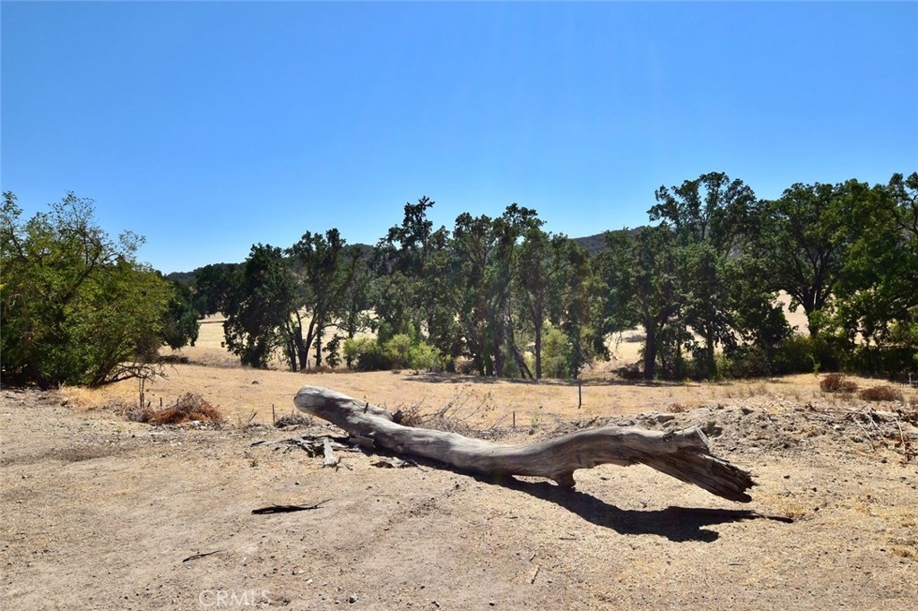76980 San Antonio Road Property Photo 49