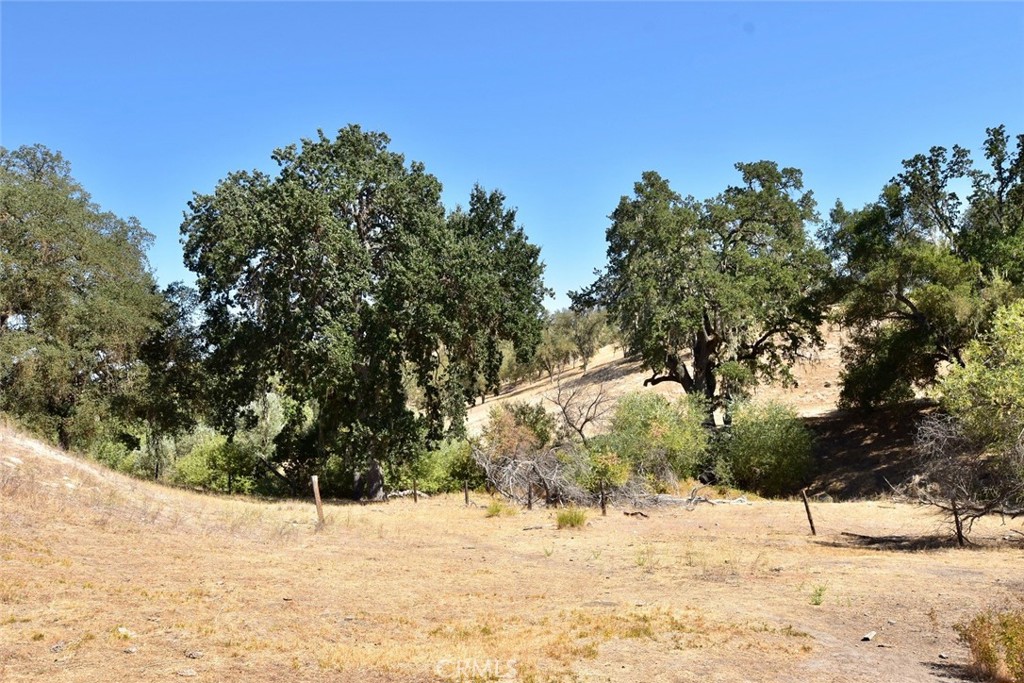 76980 San Antonio Road Property Photo 51