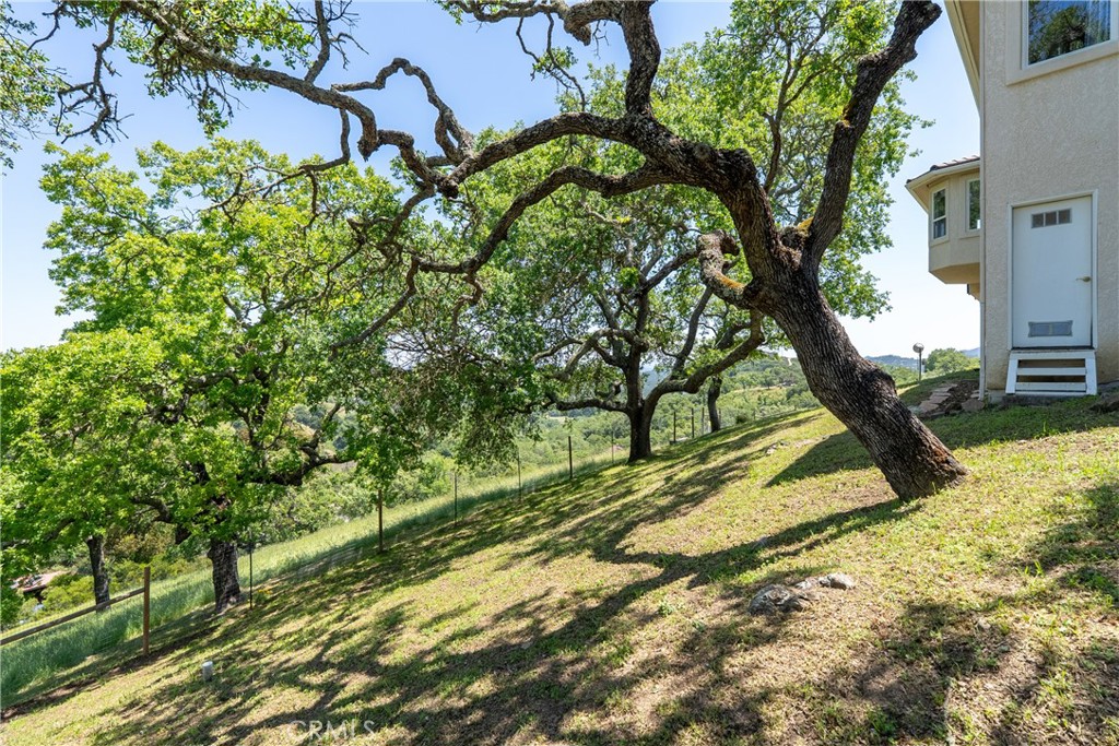 14600 El Monte Road Property Photo 36