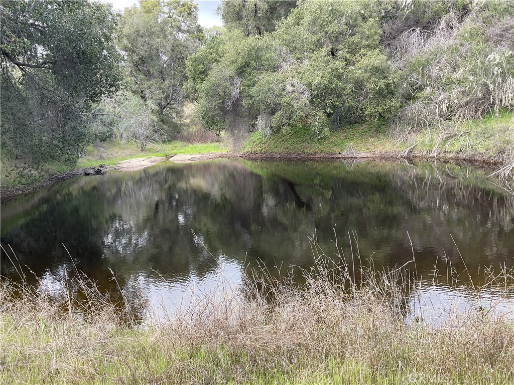 0 Bryson-hesperia Road Property Photo 1