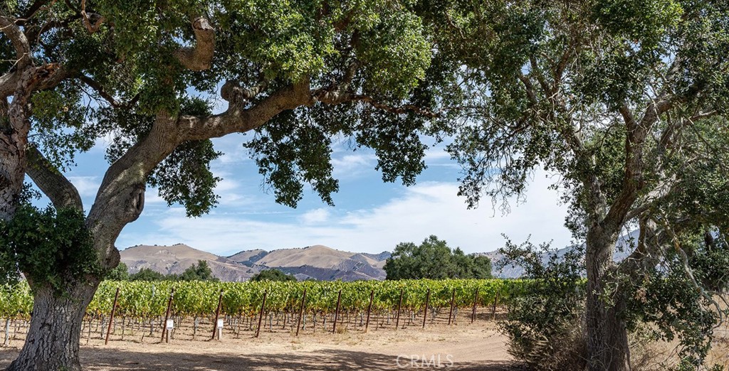 6893 Foxen Canyon Road Property Photo
