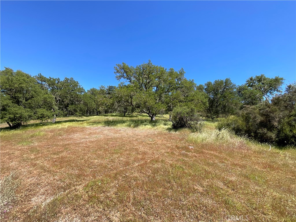 2 Interlake Road Property Photo 17