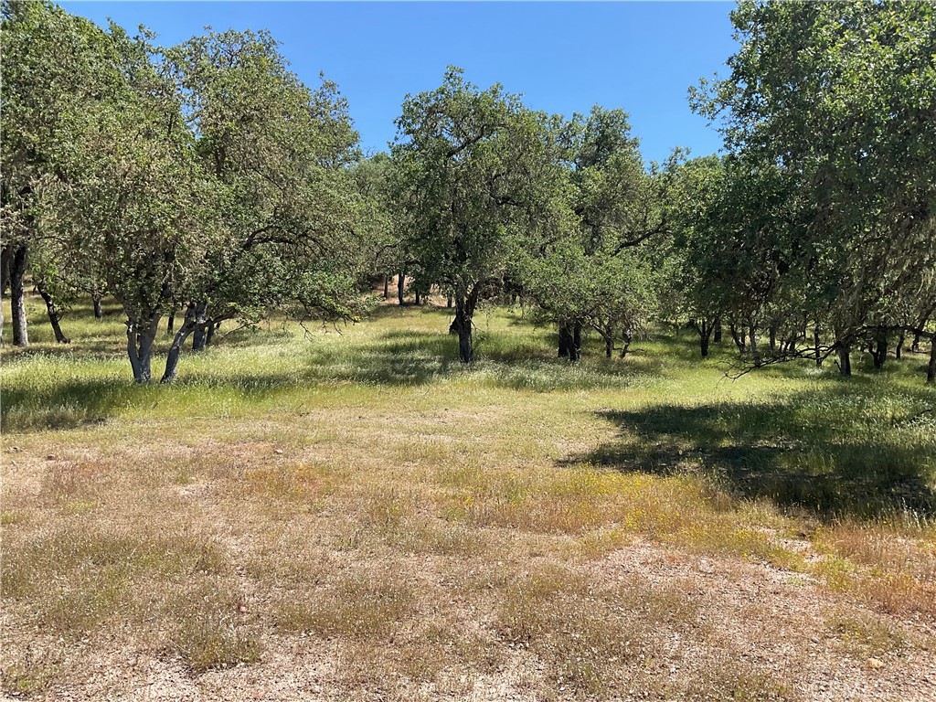 2 Interlake Road Property Photo 18