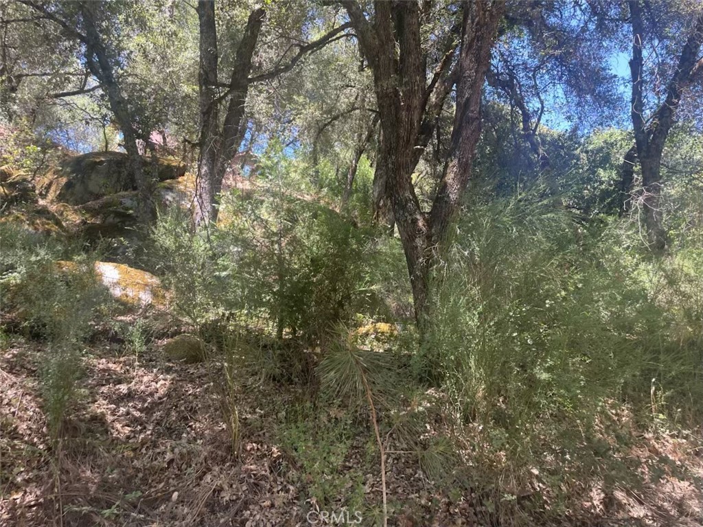 5555 Vacation Boulevard Property Photo 3