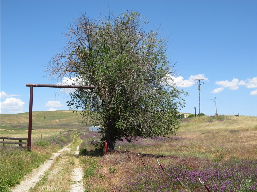 0 Camp 8 Road Property Photo 4