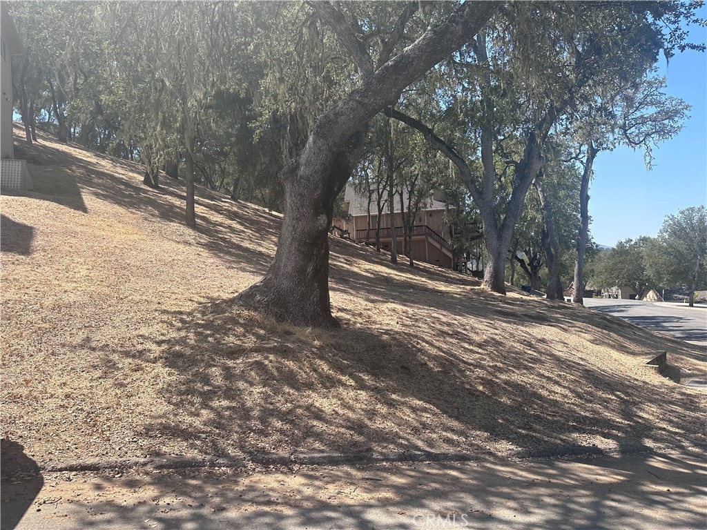 2751 Lookout Loop Property Photo