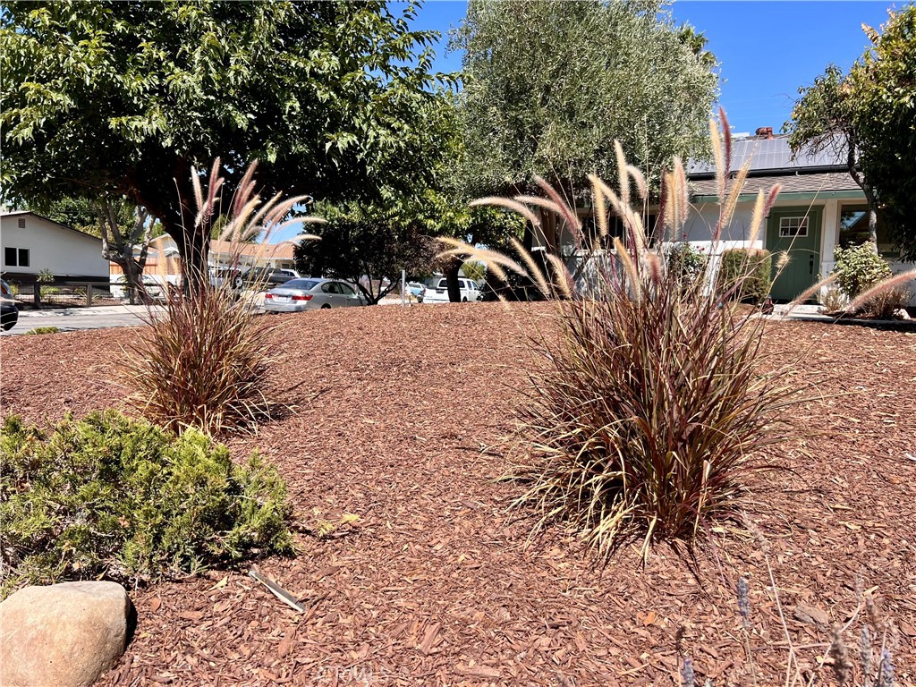 1247 Lana Street Property Photo 1