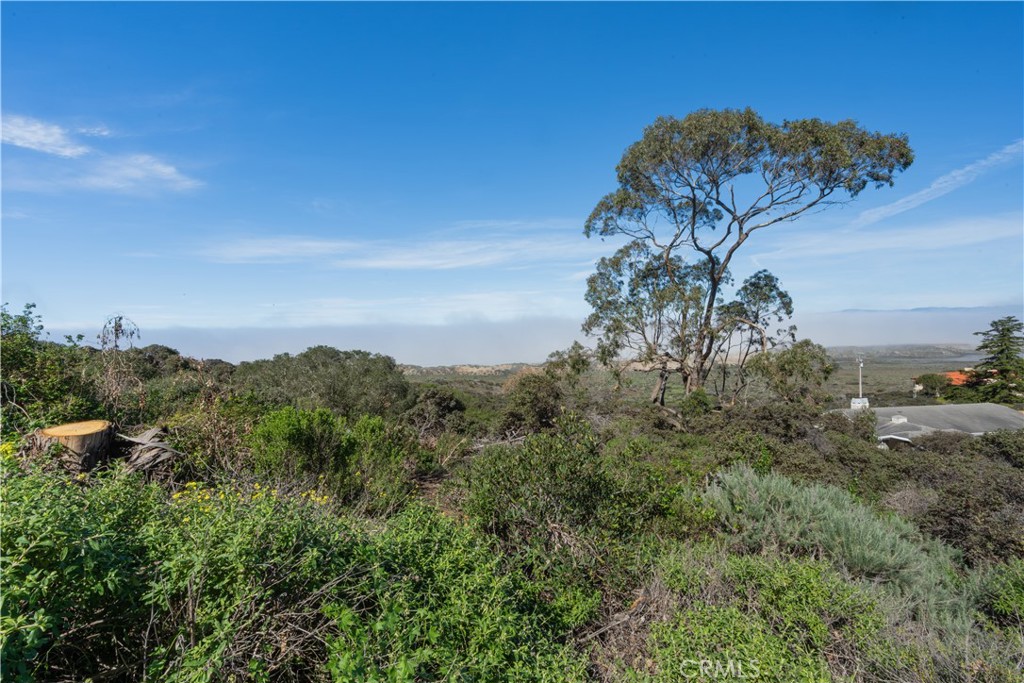 0 Pecho Valley Rd Property Photo 1
