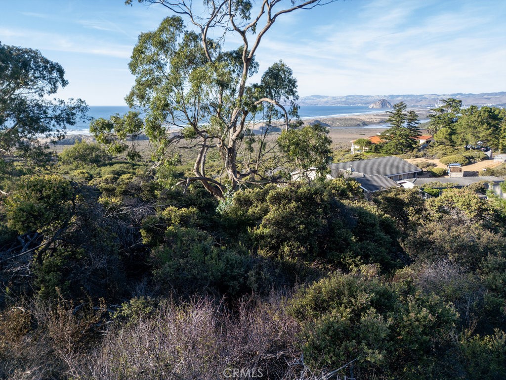 0 Pecho Valley Rd Property Photo 6
