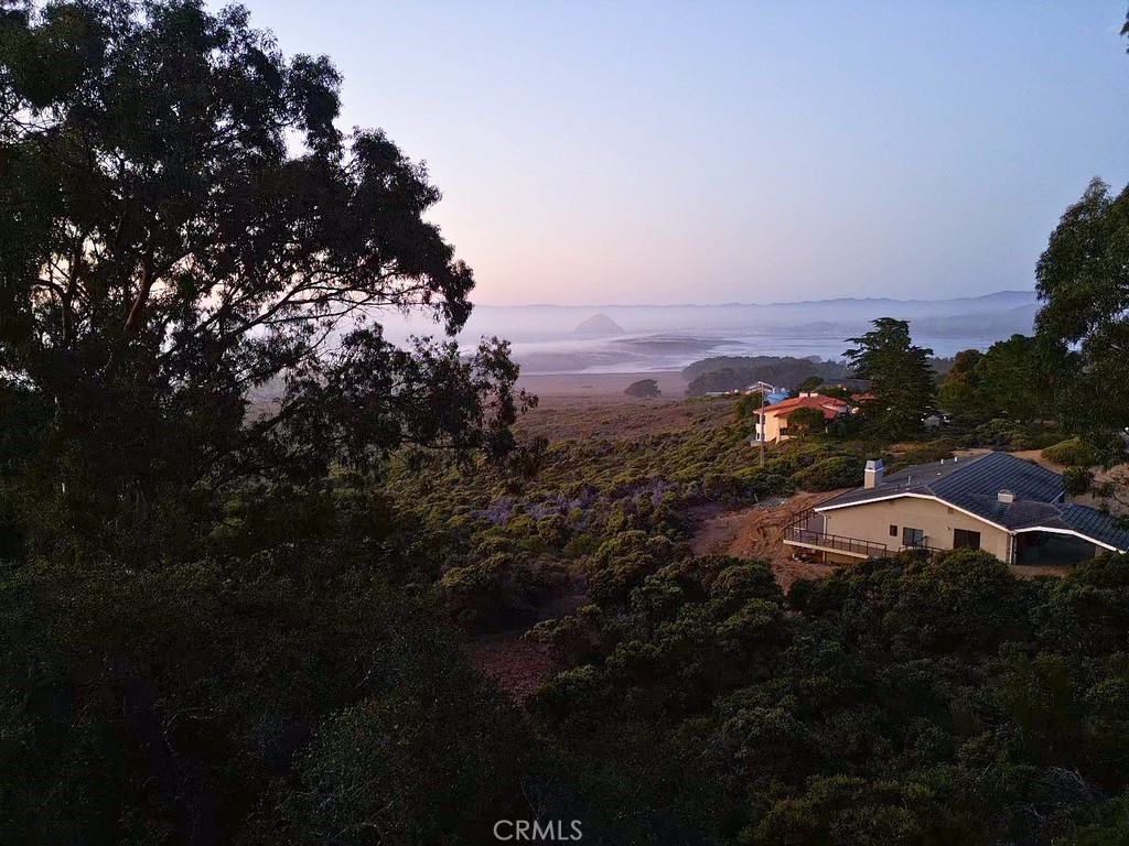 0 Pecho Valley Rd Property Photo 12