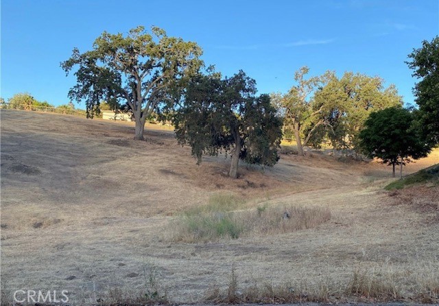 9927 Flyrod Drive Property Photo 1