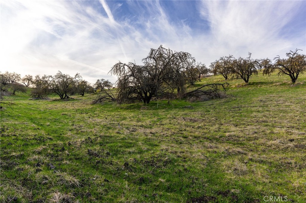 0 Caballo Property Photo 31