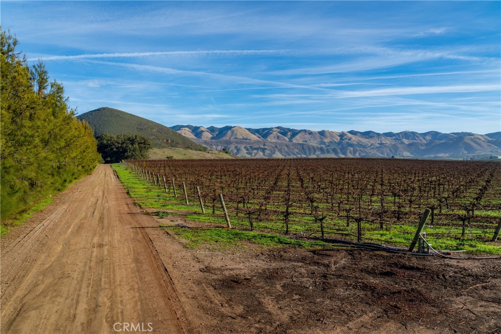 0 Vintage Ranch Road Property Photo 8