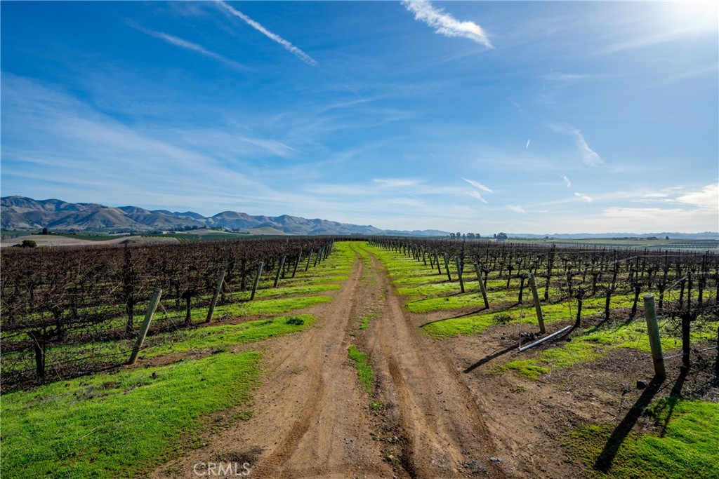0 Vintage Ranch Road Property Photo 22
