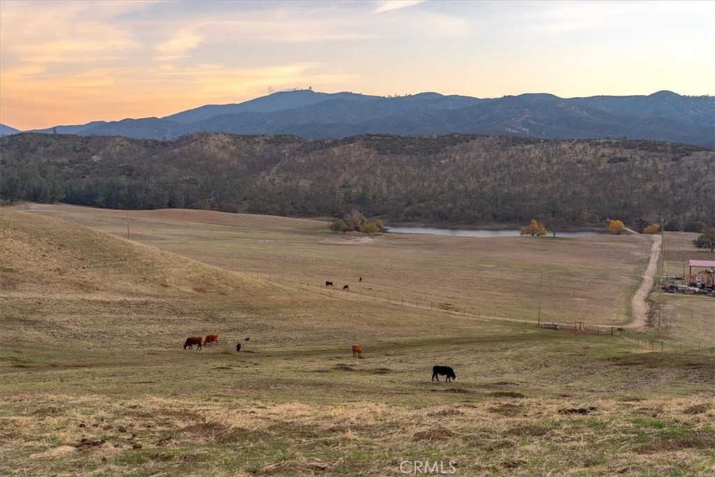 535 Calf Canyon Property Photo 10