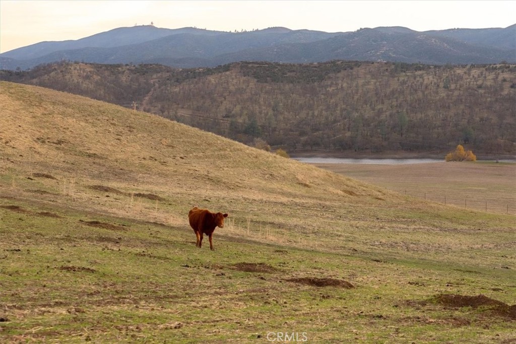 535 Calf Canyon Property Photo 66