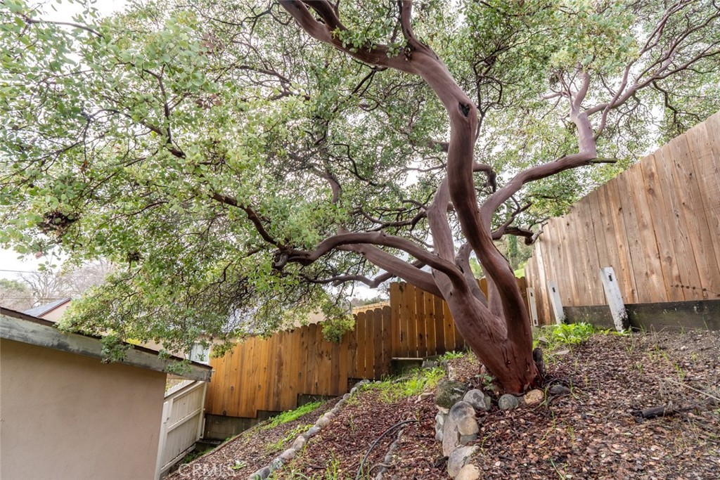 811 Olive Street Property Photo 20