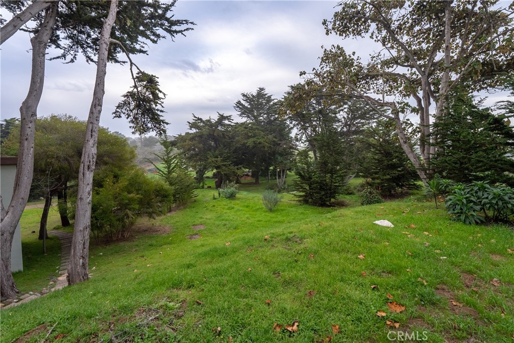 7432 Exotic Garden Drive Property Photo 38