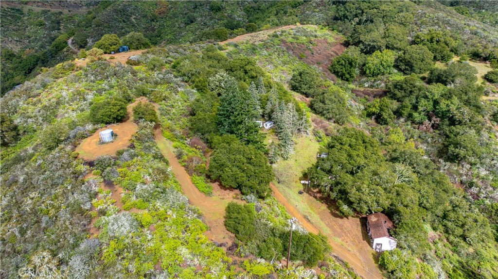 3395 Wallace Mountain Road Property Photo
