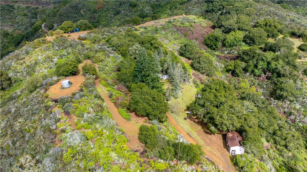 3395 Wallace Mountain Road Property Photo