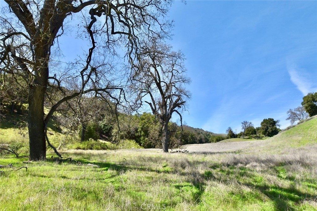 74921 Copperhead Road Property Photo 4