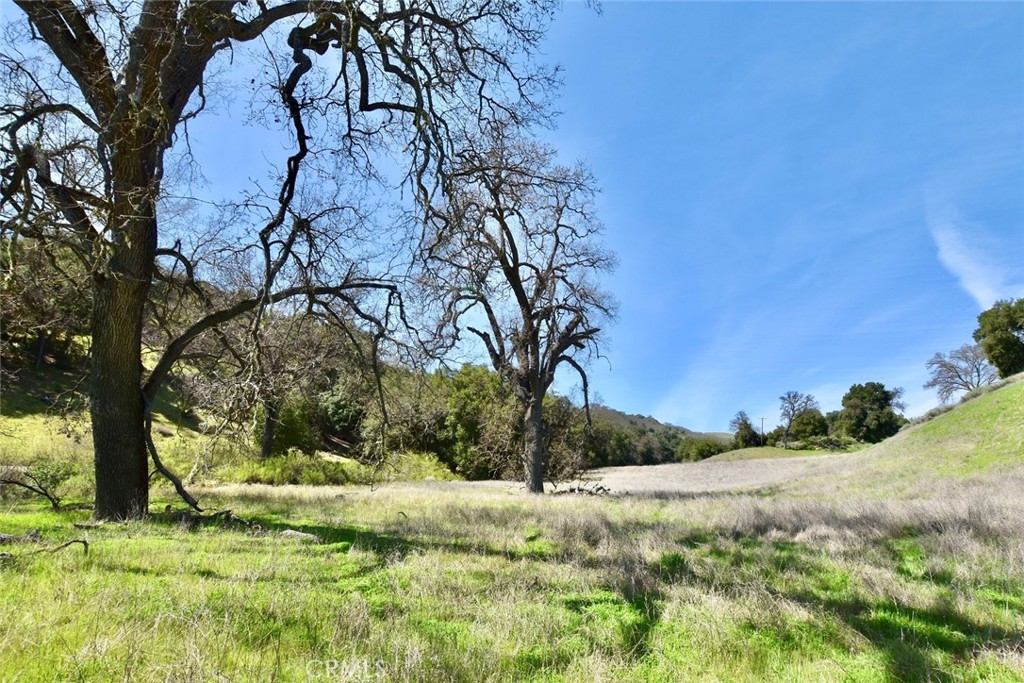 74921 Copperhead Road Property Photo 4