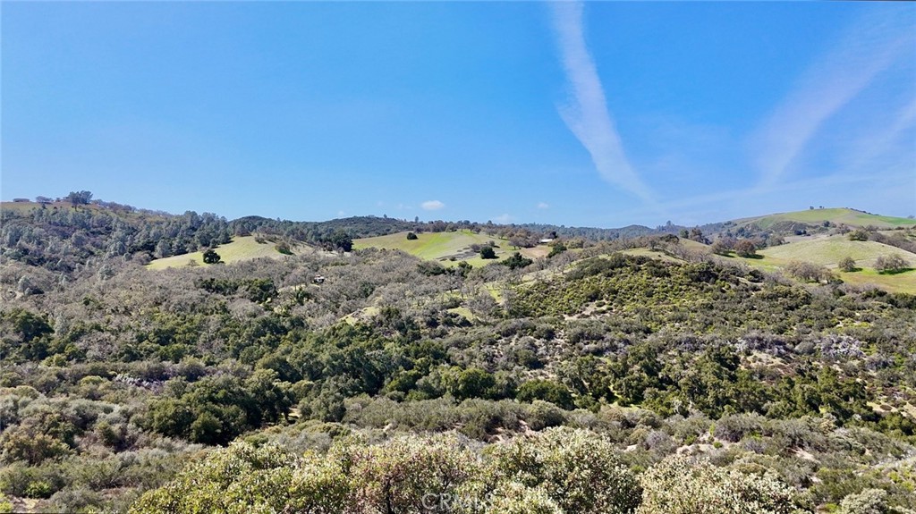 74921 Copperhead Road Property Photo 14