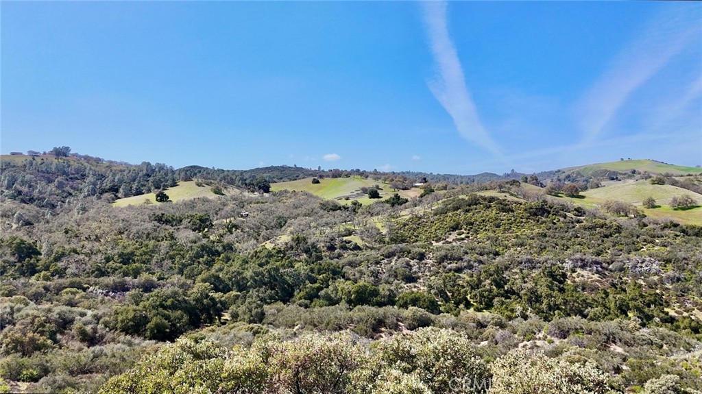74921 Copperhead Road Property Photo 14