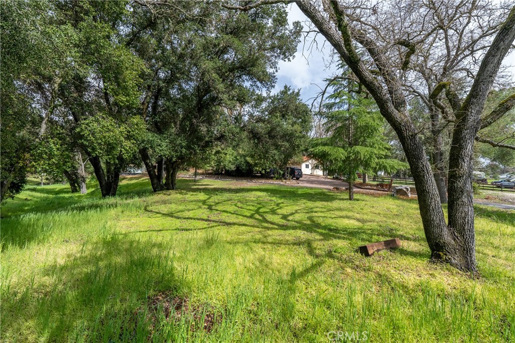13155 San Antonio Road Property Photo 66
